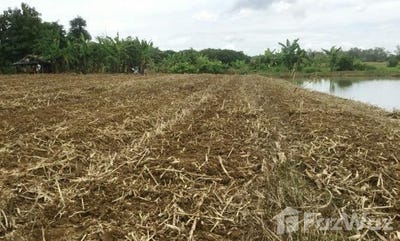 /international/th/taohuai-nam-khing-muthi-4-si-kham-mae-chan-chiang-rai-57110-thailand-mae-chan-chiang-rai-340105542694/