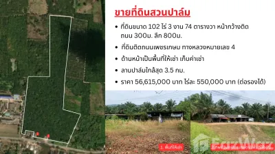 /international/th/ทิพย์จันทร์การเกษตร-ถนน-เพชรเกษม-กะเปอร์-ระนอง-85120-ประเทศไทย-กะเปอร์-340106611496/