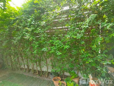 /international/th/39-14-soi-kamnanmaen-bang-wa-phasi-charoen-bangkok-10160-thailand-phasi-charoen-bangkok-340105677635/