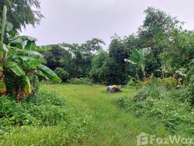 /international/th/ทางหลวงชนบท-ชร-1023-หมู่ที่-12-บ้านดู่-เชียงราย-57100-ประเทศไทย-เชียงราย-340105597552/