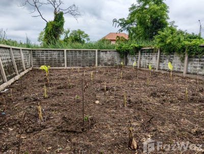 /international/th/ถนน-เทศบาล-ซอย-11-บางรักพัฒนา-บางบัวทอง-นนทบุรี-11110-ประเทศไทย-บางบัวทอง-340105555447/