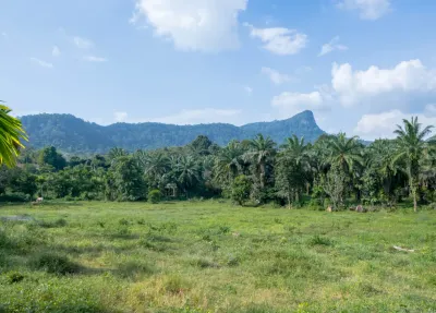 /international/th/ซอย-ควนโต๊ะยุม-หนองทะเล-กระบี่-81180-ประเทศไทย-กระบี่-krabi-340106661197/