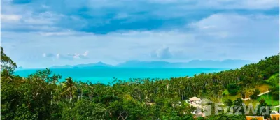 /international/th/84330-maenam-ko-samui-surat-thani-tha-maenam-surat-thani-340105811626/