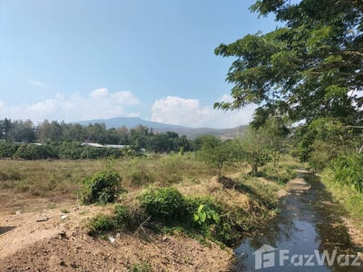 /international/th/สำนักงานเทศบาลตำบลบ้านหลวง-หมู่ที่-10-บ้านหลวง-จอมทอง-เชียงใหม่-50160-ประเทศไทย-จอมทอง-340105545658/