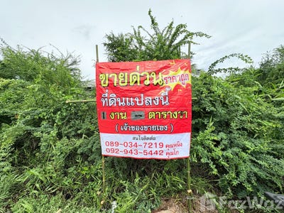 /international/th/25-สค-2023-บ้านเกาะ-สมุทรสาคร-74000-ประเทศไทย-สมุทรสาคร-340105591873/