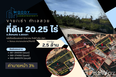 /international/th/บ้านหัวสนอ่อน-ชิงโค-สิงหนคร-สงขลา-90280-ประเทศไทย-สิงหนคร-340105576307/