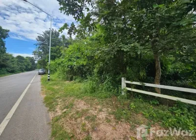 /international/th/สิราโรจน์-คาปีบ-ขามเฒ่าพัฒนา-กันทรวิชัย-มหาสารคาม-44150-ประเทศไทย-กันทรวิชัย-340106829490/