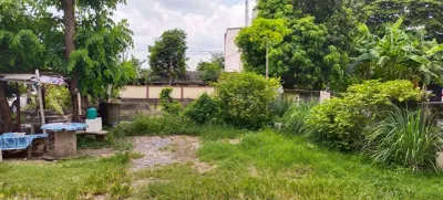 /international/th/19-162-soi-nawamin-94-ram-intra-khan-na-yao-bangkok-10230-thailand-khan-na-yao-bangkok-340106657004/
