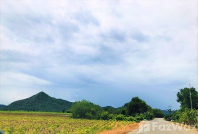 /international/th/ถนน-บ้านท่ากุ่ม-ตำบลวังด้ง-วังด้ง-กาญจนบุรี-71190-ประเทศไทย-กาญจนบุรี-340105544718/