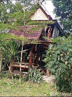 /international/th/ร้านตัดผมหนู-ภูปอ-กาฬสินธุ์-46000-ประเทศไทย-กาฬสินธุ์-340105602018/
