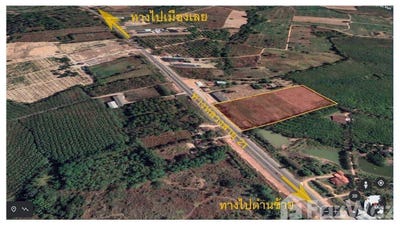 /international/th/21-โคกงาม-ด่านซ้าย-เลย-42120-ประเทศไทย-ด่านซ้าย-340105621086/