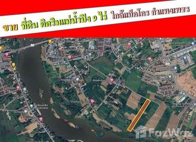 /international/th/ซ้อเค้กหน้าหมี-ในเมือง-กำแพงเพชร-62000-ประเทศไทย-กำแพงเพชร-340105568574/
