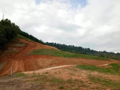 /international/th/ถนน-เพชรเกษม-กระโสม-ตะกั่วทุ่ง-พังงา-82130-ประเทศไทย-ตะกั่วทุ่ง-340106651445/