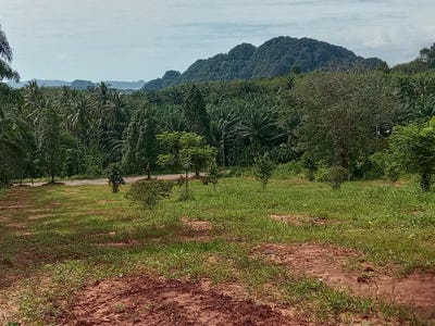 /international/th/กระบี่-81000-ประเทศไทย-กระบี่-krabi-340108529041/