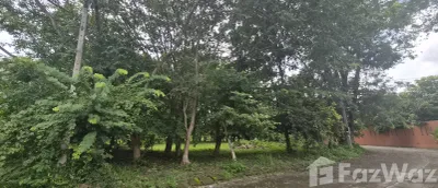 /international/th/9-19-moo-4-talat-khwan-doi-saket-chiang-mai-50220-tha-talat-khwan-chiang-mai-340105608730/
