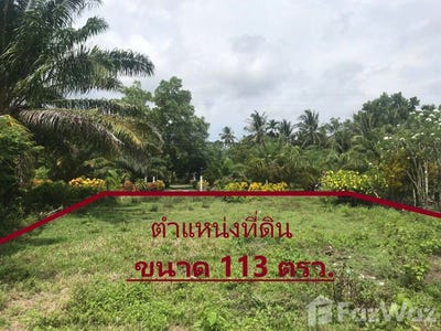 /international/th/โรงเรียนบ้านขอนคลาน-ขอนคลาน-ทุ่งหว้า-สตูล-91120-ประเทศไทย-ทุ่งหว้า-340105603582/