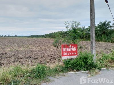 /international/th/บ้านสระเกาะโพธิ์-คลองกระบือ-ปากพนัง-นครศรีธรรมราช-80140-ประเทศไทย-ปากพนัง-340105595176/