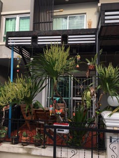 /international/th/จังหวัดสมุทรปราการ-ประเทศไทย-n-a-changwat-nakhon-ratchasima-340108564437/
