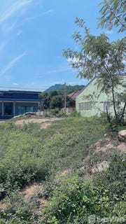 /international/th/บ้านคอหงส์-5-คอหงส์-หาดใหญ่-สงขลา-90110-ประเทศไทย-หาดใหญ่-340105596774/