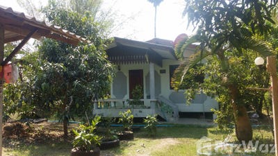 /international/th/ศูนย์ประสานงาน-โครงการตามแนวพระราชดำริ-และโครงการวิจัยบริการวิชาการชุมชนตำบลบางนางลี่-บางแค-อัมพวา-สมุทรสงคราม-75110-ประเทศไทย-อัมพวา-340105571845/
