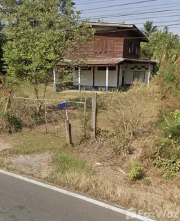 /international/th/ปราณี-นาบัว-สุรินทร์-32000-ประเทศไทย-สุรินทร์-340106997846/