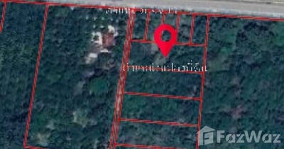 /international/th/ทางหลวงชนบท-นศ-4046-ขุนทะเล-ลานสกา-นครศรีธรรมราช-80230-ประเทศไทย-ลานสกา-340105556029/