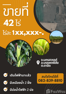 /international/th/ทางหลวงชนบท-นว-4031-หมู่ที่-6-ตาขีด-บรรพตพิสัย-นครสวรรค์-60180-ประเทศไทย-บรรพตพิสัย-340105593350/