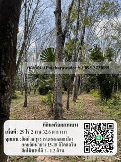 /international/th/จะนะ-สงขลา-90130-ประเทศไทย-จะนะ-340105599549/