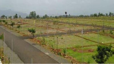 /international/in/thol-ahmedabad-gujarat-250105484694/