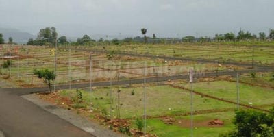 /international/in/bommuru-rajahmundry-andhra-pradesh-250107741789/