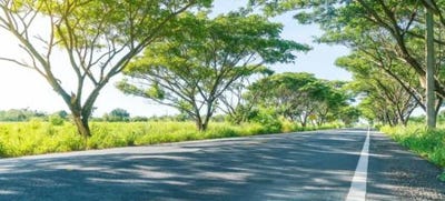/international/in/gottimukla-vikarabad-andhra-pradesh-250108103484/