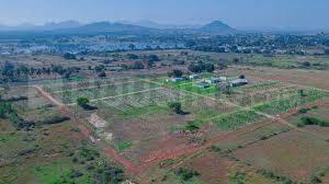 /international/in/bagru-jaipur-rajasthan-250105436477/
