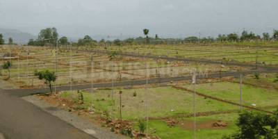 /international/in/rayudu-pakalu-rajahmundry-andhra-pradesh-250107741384/