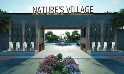 /international/in/kilawali-udham-singh-nagar-uttarakhand-250108458347/