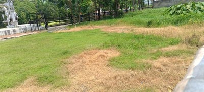 /international/in/joka-kolkata-west-bengal-250108005385/