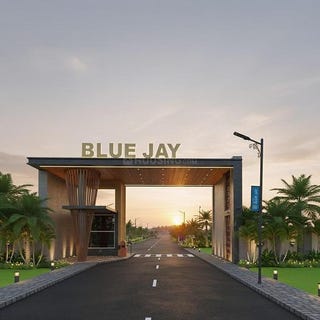 /international/in/peedampalli-coimbatore-tamil-nadu-250108528620/