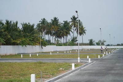 /international/in/karamadai-coimbatore-tamil-nadu-250108186478/