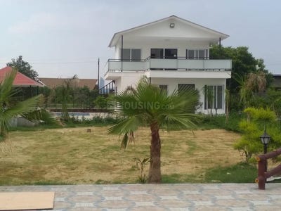 /international/in/sector-135-noida-uttar-pradesh-250105770118/