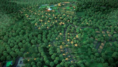/international/in/kurunji-pune-maharashtra-250105502164/