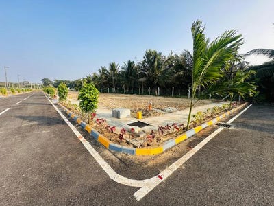 /international/in/sarakariuthanahalli-mysore-karnataka-250105647800/