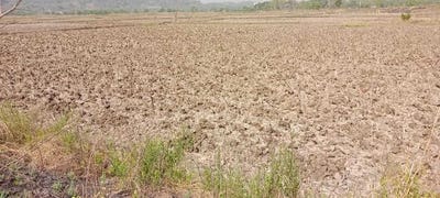 /international/in/jui-mansarovar-navi-mumbai-maharashtra-250108458282/