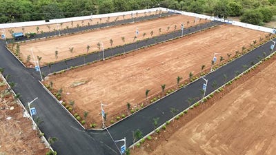 /international/in/cumbum-theni-tamil-nadu-250106161360/