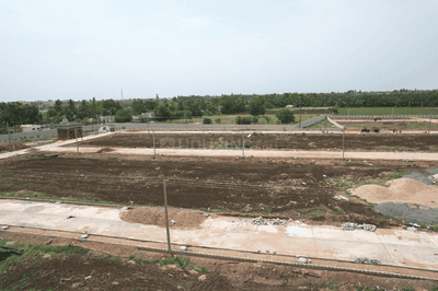 /international/in/vuyyuru-krishna-andhra-pradesh-250108186137/