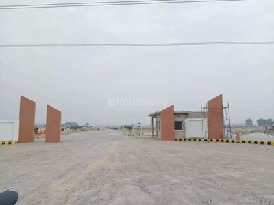 /international/in/makhdoompur-kaithi-lucknow-uttar-pradesh-250108404238/