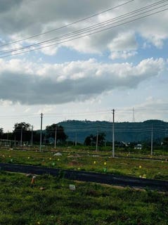 /international/in/sarakariuthanahalli-mysore-karnataka-250105942087/