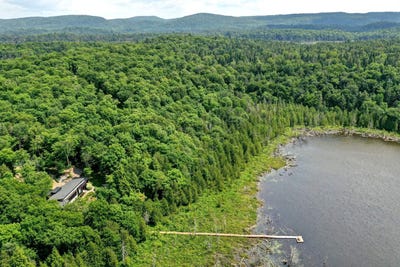 /international/ca/10-ch-de-l-oxalis-harrington-quebec-110099530782/?lang=zh-tw