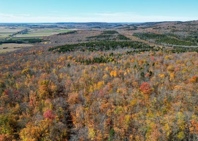 /international/ca/rg-de-la-riviere-blanche-saint-alban-quebec-110103690918/