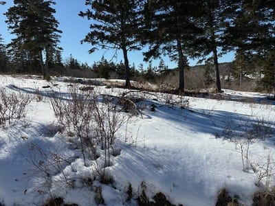 /international/ca/hirtles-beach-road-kingsburg-nova-scotia-110106223693/