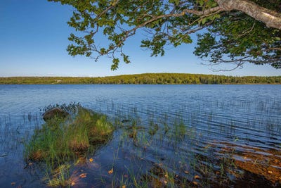 /international/ca/highway-1-lot-port-maitland-nova-scotia-110107574090/