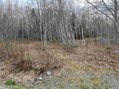 /international/ca/sarty-road-lot-2-camperdown-nova-scotia-110106002527/